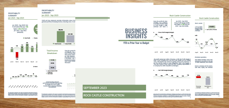 Sample of Business Insight Report Template showcasing key metrics and insights.